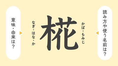 暒 人名|「椛」の意味や由来は？名前に込められる思いや名付。